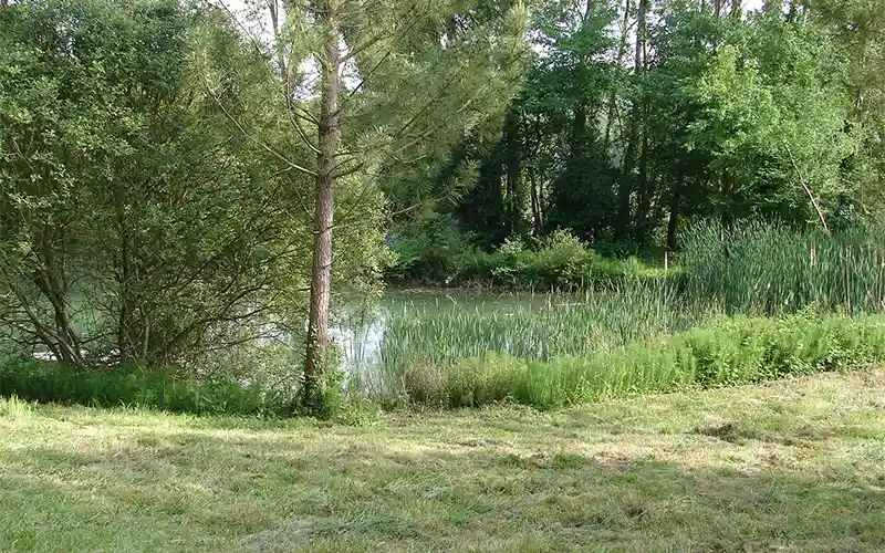 étang de pêche au Campiong le Neri en Gascogne