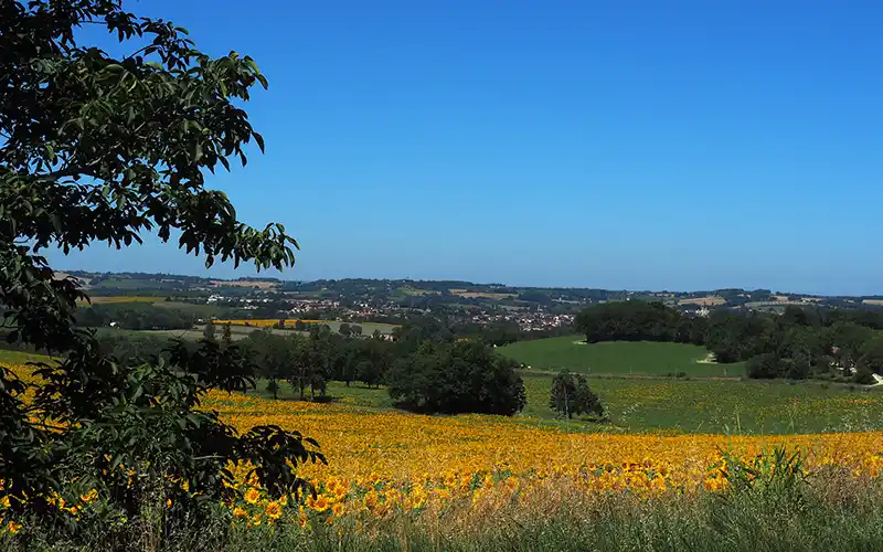 Paysage Gers Lomagne gascogne